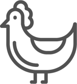 icon-poule-porvico